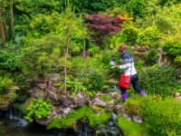 Irish National Stud & Gardens